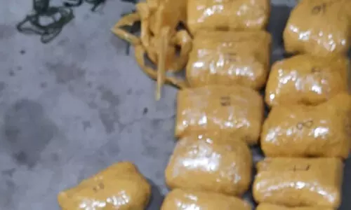 30 കിലോ മയക്കുമരുന്നുമായി രണ്ട് പാകിസ്താൻ കള്ളക്കടത്തുകാർ പിടിയിൽ