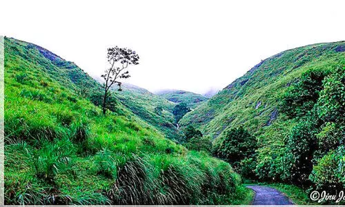 ഗവിയിൽ ഉദ്യോഗസ്ഥരാജ് അരക്ഷിതാവസ്ഥയിൽ തൊഴിലാളികൾ