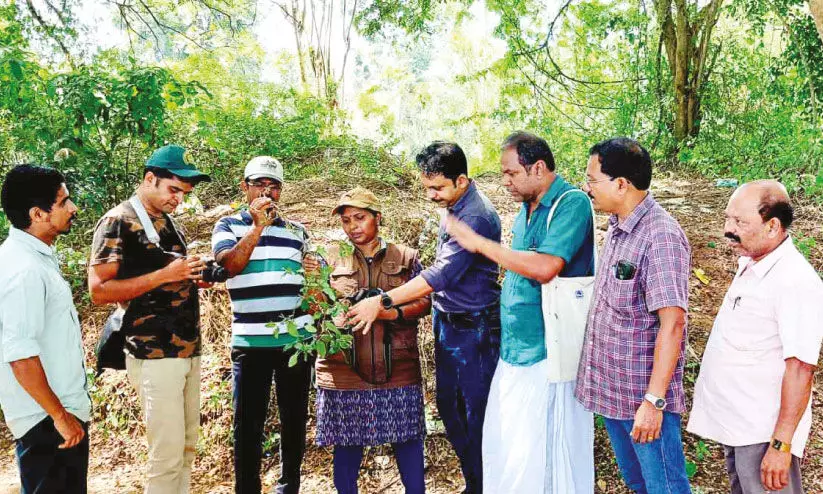 തി​രു​നാ​വാ​യ​യി​ലെ നീ​ർ​പ്പ​ക്ഷി​ക​ളും ജ​ല​സ​സ്യ​ങ്ങ​ളും കേ​ന്ദ്ര​സം​ഘം പ​ഠ​നം ന​ട​ത്തി
