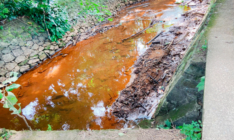ആരുണ്ട് ചോദിക്കാൻ?  മാതാംതോട്ടിൽ വീണ്ടും സെപ്റ്റിക് മാലിന്യം തള്ളി