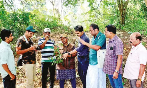 തി​രു​നാ​വാ​യ​യി​ലെ നീ​ർ​പ്പ​ക്ഷി​ക​ളും ജ​ല​സ​സ്യ​ങ്ങ​ളും കേ​ന്ദ്ര​സം​ഘം പ​ഠ​നം ന​ട​ത്തി