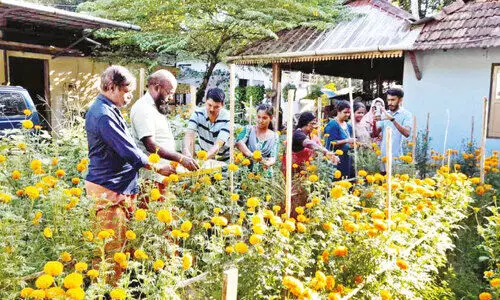 പൂ​വേ പൊ​ലി പൂ​വേ.. പൊ​ലി പൊ​ലി പൂ​വേ..