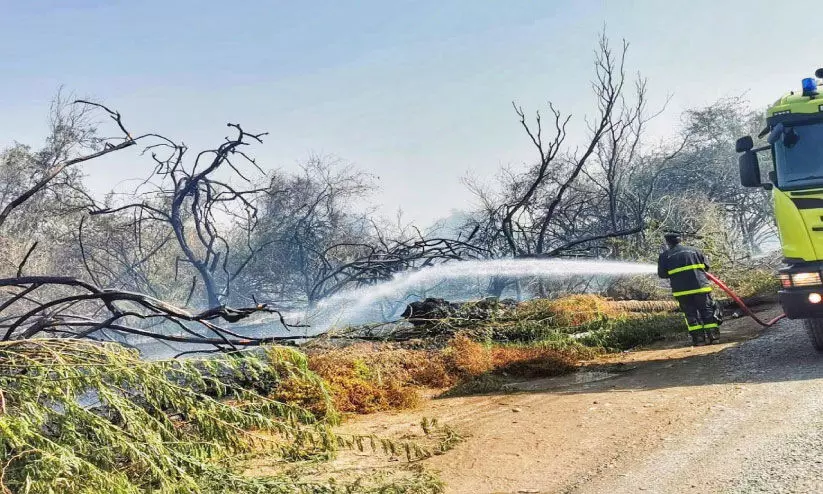 മ​സ്ന​അ​യി​ൽ ഫാ​മി​ൽ തീ​പി​ടി​ത്തം