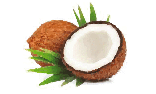 പ്ര​തി​സ​ന്ധി​യി​ൽ നാ​ളി​കേ​ര ക​ർ​ഷ​ക​ർ