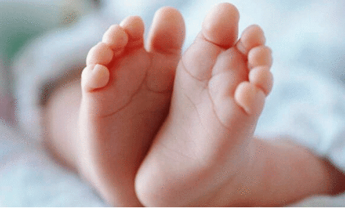 അട്ടപ്പാടിയിലെ ശിശുമരണം: പ്രത്യേക ആരോഗ്യ പദ്ധതി നടപ്പാക്കണം -വെൽഫെയർ പാർട്ടി