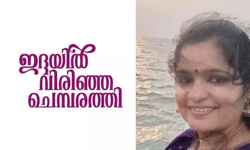 ഇദ്ദയിൽ വിരിഞ്ഞ ചെമ്പരത്തി ഇദ്ദയിൽ വിരിഞ്ഞ ചെമ്പരത്തി