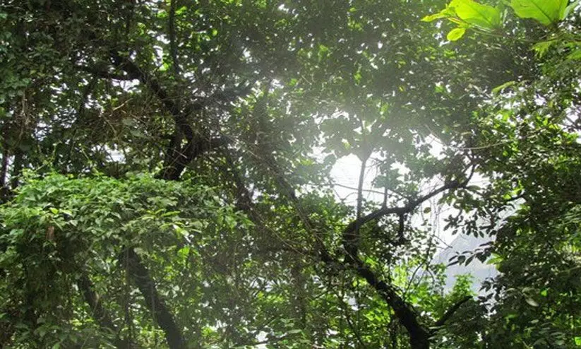 representational image representational image