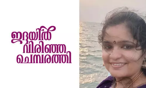 ഇദ്ദയിൽ വിരിഞ്ഞ ചെമ്പരത്തി