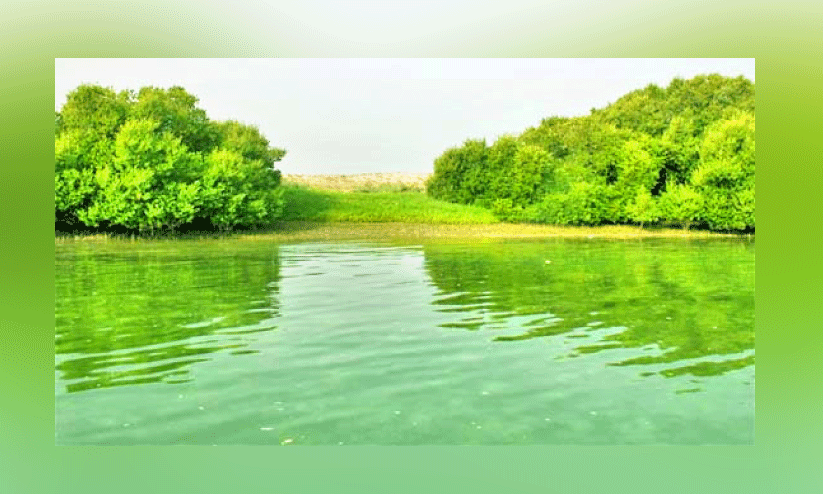 പ​രി​സ്ഥി​തി സം​ര​ക്ഷി​ത മേ​ഖ​ല​ക​ൾ വ​ർ​ധി​പ്പി​ക്കു​ന്നു