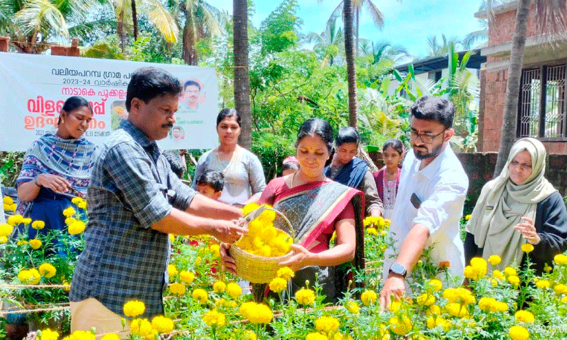 Pookalam project harvest Pookalam project harvest