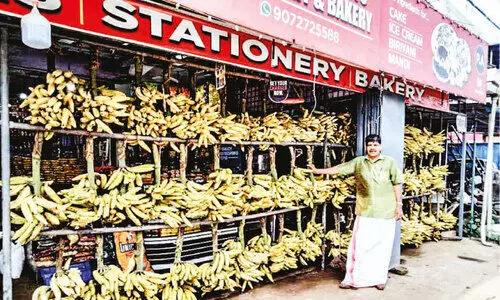 ഒറ്റപ്പാലം മേഖലയിൽ നേന്ത്രക്കായക്ക് തോന്നിയ വില