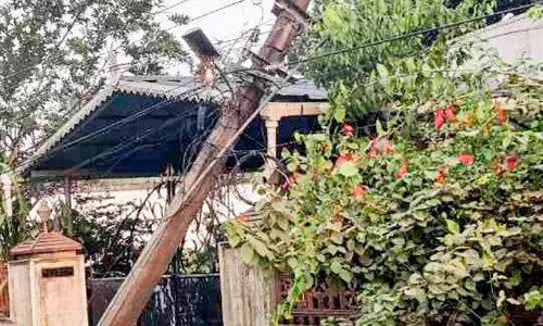 ടാറിങ്ങിനിടെ നിയന്ത്രണംവിട്ട വാഹനം 11 കെ.വി വൈദ്യുതി പോസ്റ്റിടിച്ച് തകർത്തു