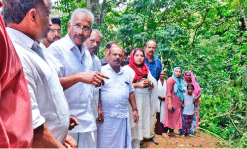 Makkimala Disaster Land