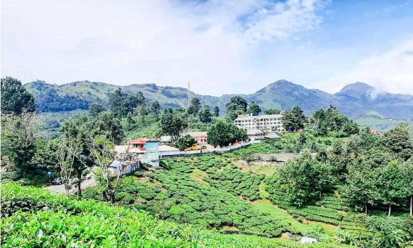 ചൂടിൽനിന്ന് അകന്ന് കുളിരിലേക്ക്; സഞ്ചാരികളെ മാടിവിളിച്ച് മൂന്നാർ ചൂടിൽനിന്ന് അകന്ന് കുളിരിലേക്ക്; സഞ്ചാരികളെ മാടിവിളിച്ച് മൂന്നാർ