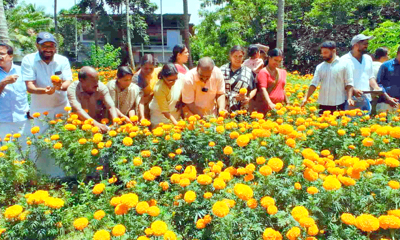 chendumalli chendumalli