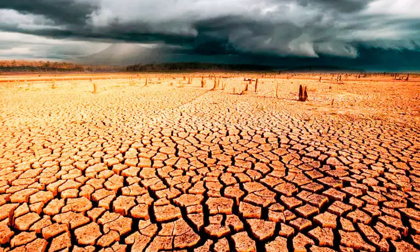 ഹൈറേഞ്ച് വരള്ച്ചയിലേക്ക്; കാർഷിക മേഖലയിൽ ആശങ്ക ഹൈറേഞ്ച് വരള്ച്ചയിലേക്ക്; കാർഷിക മേഖലയിൽ ആശങ്ക