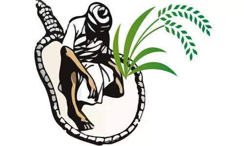 നല്ല നാളിലും നെല്ലി‍െൻറ പണമില്ല; കണ്ണീരോടെ കർഷകർ