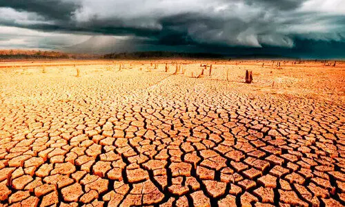 ഹൈറേഞ്ച് വരള്‍ച്ചയിലേക്ക്;   കാർഷിക മേഖലയിൽ ആശങ്ക