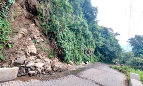 Kottiyur - Wayanad Pass road