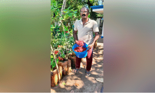 ഓണരുചിയൊരുക്കി  ‘തച്ചൻ’ വീട്ടുമുറ്റം