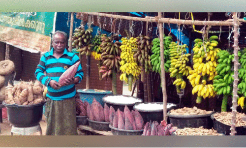 ജോഷ്വ ചേട്ടൻ കാത്തിരിക്കുന്നു,  നാടൻ ഓണവിഭവങ്ങളുമായി