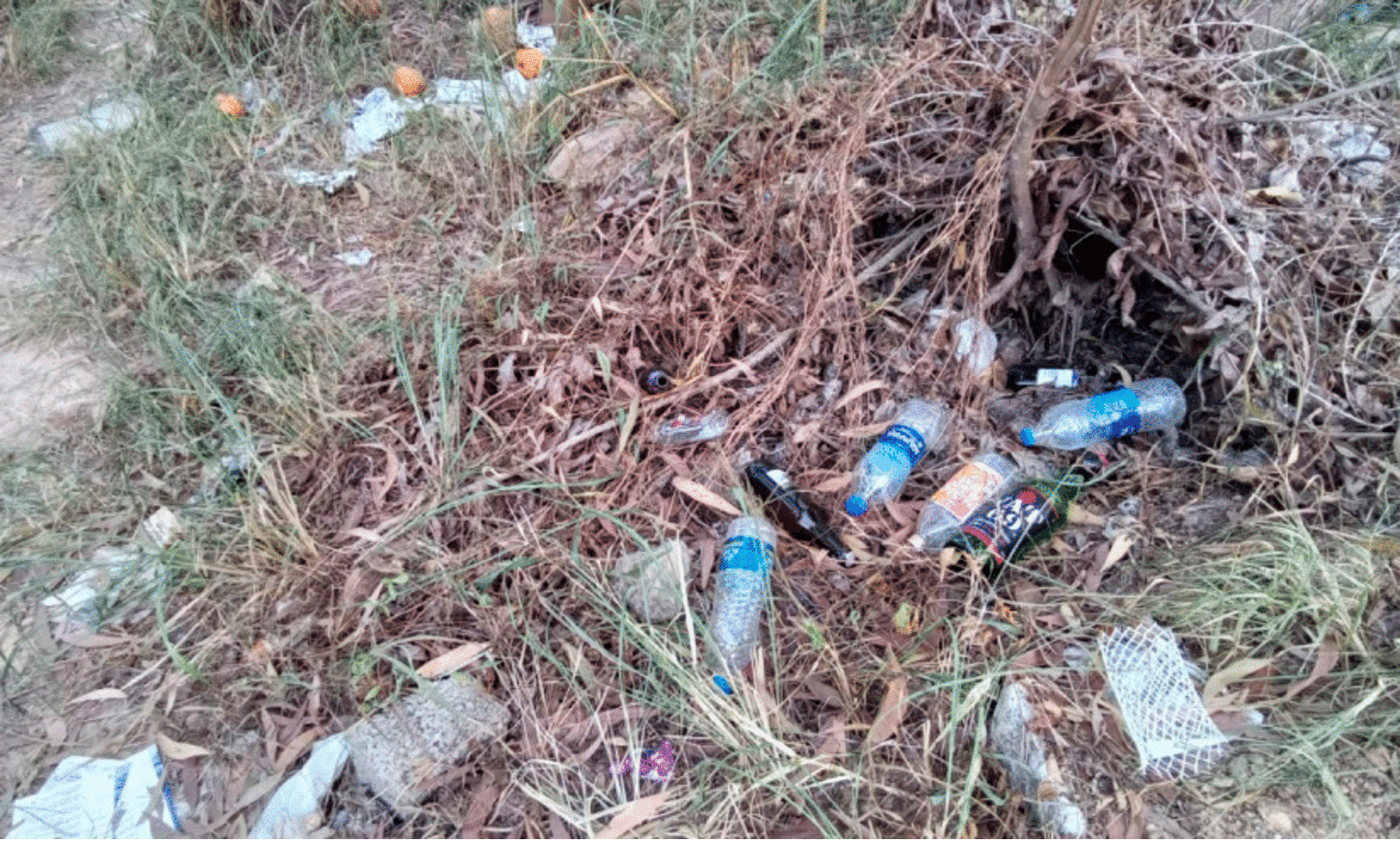 Empty liquor bottles