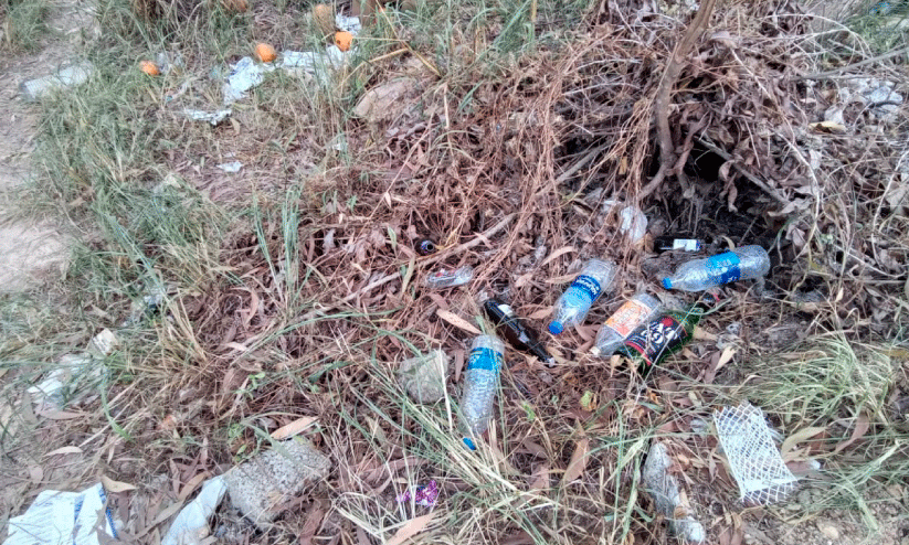 Empty liquor bottles Empty liquor bottles