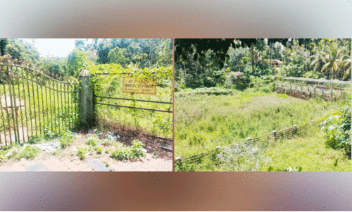 അട്ടക്കൊല്ലിചിറയും ജൈവപാർക്കും നാശത്തിന്റെ വക്കിൽ അട്ടക്കൊല്ലിചിറയും ജൈവപാർക്കും നാശത്തിന്റെ വക്കിൽ