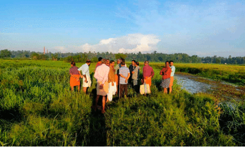 farmers for water in Korattichal farmers for water in Korattichal