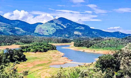 കാലവർഷം കനിഞ്ഞില്ല; ആനയിറങ്കൽ ജലാശയം  വറ്റിത്തുടങ്ങി