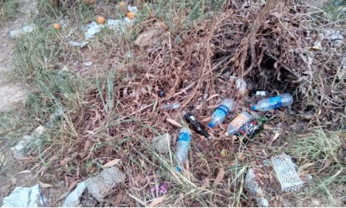 Empty liquor bottles Empty liquor bottles