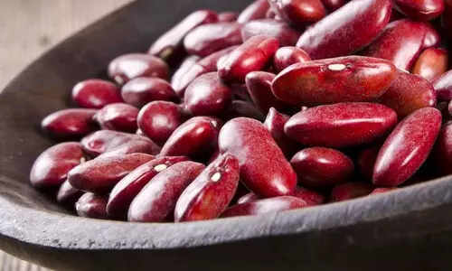 ഭാ​ദെ​ർ​വ രാ​ജ്മാ​ഷി​നും സു​ലൈ തേ​നി​നും ഭൗ​മ​സൂ​ചി​ക