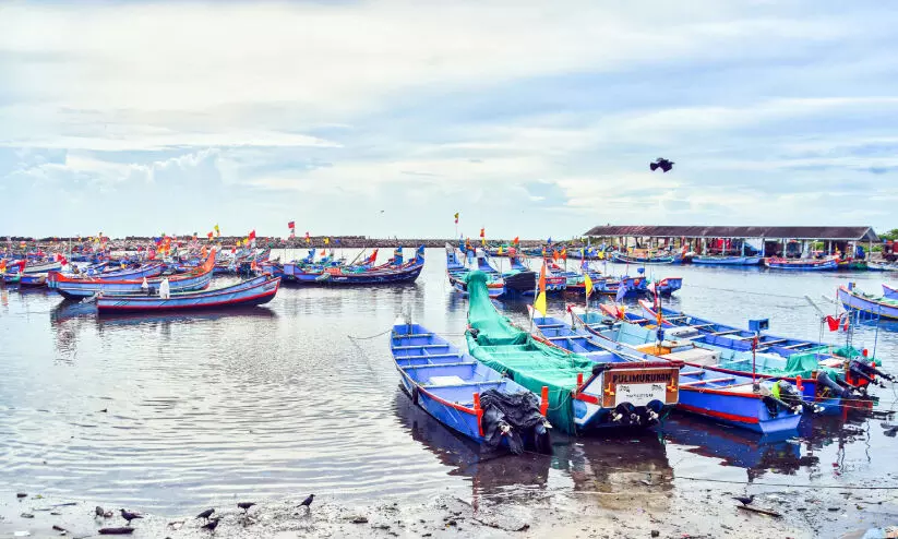 കരയിലാണ് കണ്ണീർക്കടൽ: തോട്ടപ്പള്ളി ഹാർബർ; ‘കറുത്ത പൊന്നിൽ’ അന്യരാക്കപ്പെട്ട് മത്സ്യത്തൊഴിലാളികൾ കരയിലാണ് കണ്ണീർക്കടൽ: തോട്ടപ്പള്ളി ഹാർബർ; ‘കറുത്ത പൊന്നിൽ’ അന്യരാക്കപ്പെട്ട് മത്സ്യത്തൊഴിലാളികൾ