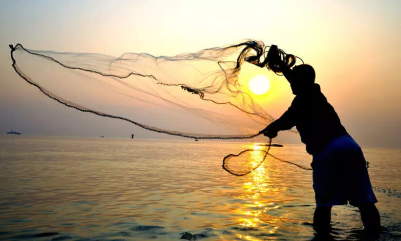 നിയമം ലംഘിച്ച 13 പ്രവാസി മീൻപിടിത്തക്കാർക്കെതിരെ നടപടി നിയമം ലംഘിച്ച 13 പ്രവാസി മീൻപിടിത്തക്കാർക്കെതിരെ നടപടി