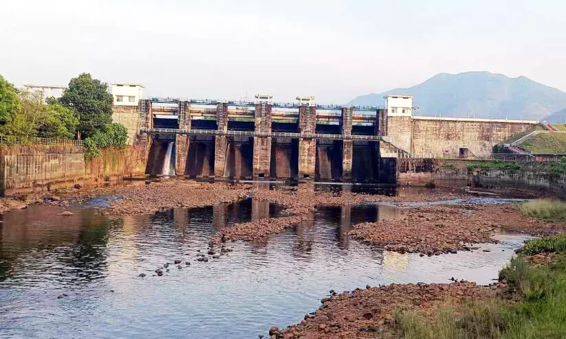 വെയിൽ കടുത്തു; കൃഷി നശിക്കുന്നു, മലങ്കര ഡാം ഷട്ടർ അടച്ച് ജലസംഭരണം തുടങ്ങി