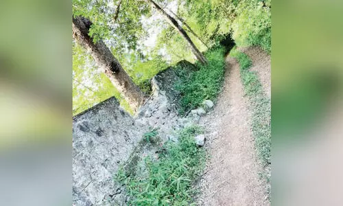 കാട്ടാന ശല്യം; പൊറുതിമുട്ടി പൂച്ചക്കുത്ത് നിവാസികൾ