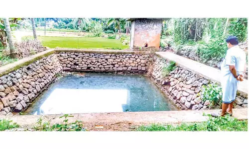 കുളത്തിൽ വെള്ളമുണ്ട്, പമ്പിങ് സൗകര്യമില്ല; കൃഷിയിറക്കാനാവാതെ കർഷകർ