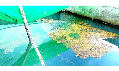 ഭക്ഷ്യവിഷബാധ: ഗ്രീൻവാലി പബ്ലിക് സ്കൂളിൽ ആരോഗ്യവകുപ്പ് പരിശോധന ഭക്ഷ്യവിഷബാധ: ഗ്രീൻവാലി പബ്ലിക് സ്കൂളിൽ ആരോഗ്യവകുപ്പ് പരിശോധന