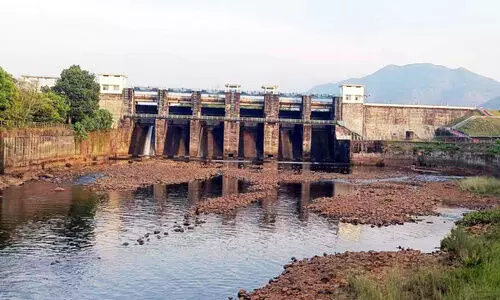 വെയിൽ കടുത്തു; കൃഷി നശിക്കുന്നു, മലങ്കര ഡാം ഷട്ടർ അടച്ച് ജലസംഭരണം തുടങ്ങി