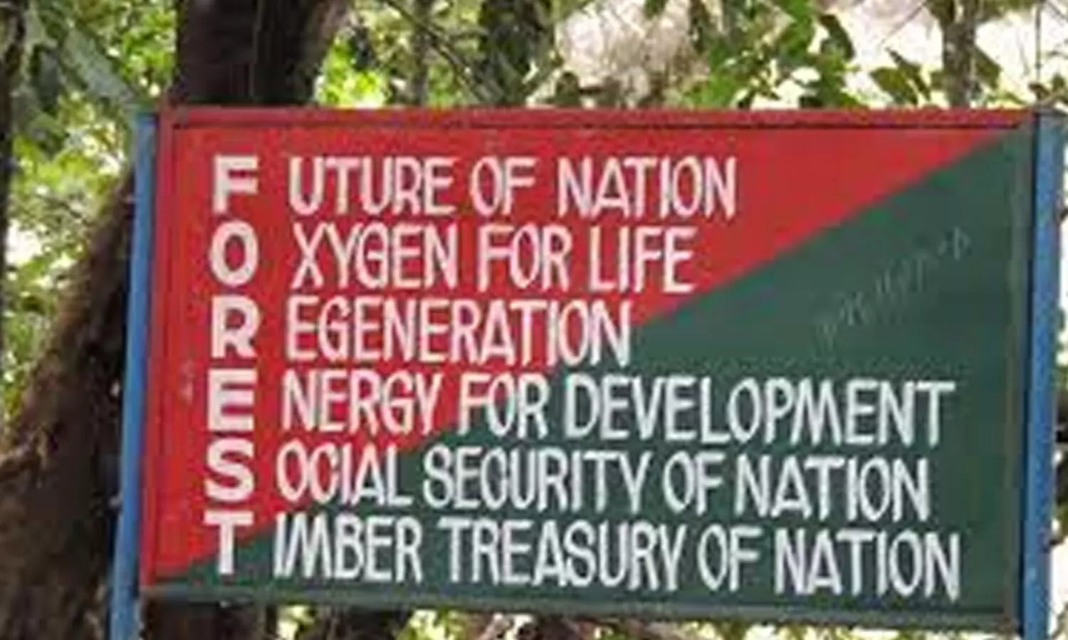 ആദിവാസി യുവാവിനെ കള്ളക്കേസിൽ കുടുക്കിയ സംഭവം: വനംവകുപ്പ് ഡ്രൈവർ അറസ്റ്റിൽ
