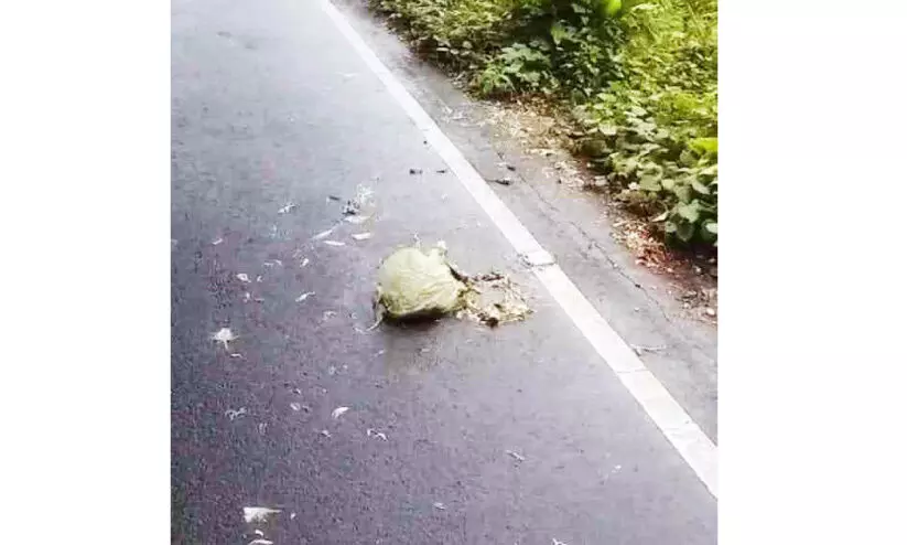 ചുങ്കപ്പാറ-കോട്ടാങ്ങൽ റോഡിൽ മാലിന്യം തള്ളുന്നു