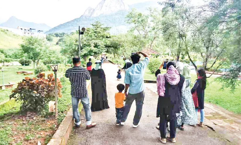 കാ​ഞ്ഞി​ര​പ്പു​ഴ ഉ​ദ്യാ​ന​ത്തി​ൽ വ​ൻ​തി​ര​ക്ക്; വ​രു​മാ​ന​ത്തി​ൽ വ​ർ​ധ​ന
