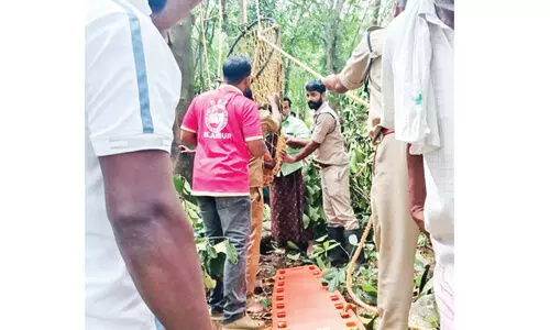 മരംമുറിക്കിടെ അപകടം; കയറിൽ തൂങ്ങിക്കിടന്ന ആളെ രണ്ട് മണിക്കൂറിനുശേഷം രക്ഷപ്പെടുത്തി