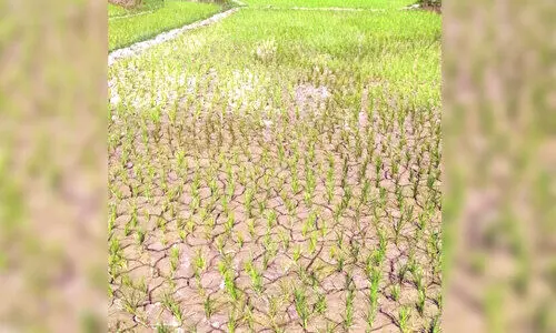 temperature temperature