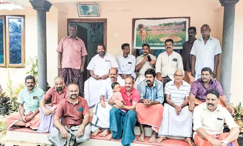 പച്ചക്കൊളുന്തിന്‍റെ വിലത്തകർച്ച; പ്രതിഷേധവുമായി​ ചെറുകിട തേയില കർഷകർ