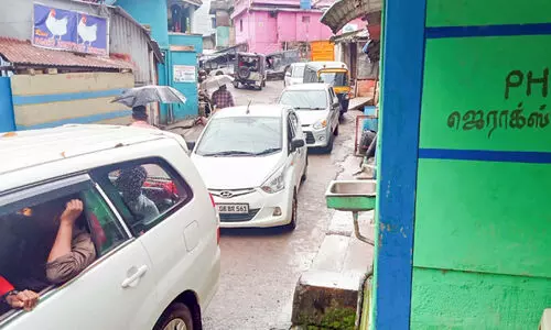 വിളവെടുപ്പും സഞ്ചാരികളുടെ തിരക്കും; വട്ടവട ഉഷാറിലാണ്​