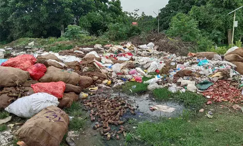 ആലുവ മാർക്കറ്റിൻ്റെ പുറകുവശത്ത് കുന്നുകൂടി കിടക്കുന്ന മാലിന്യം