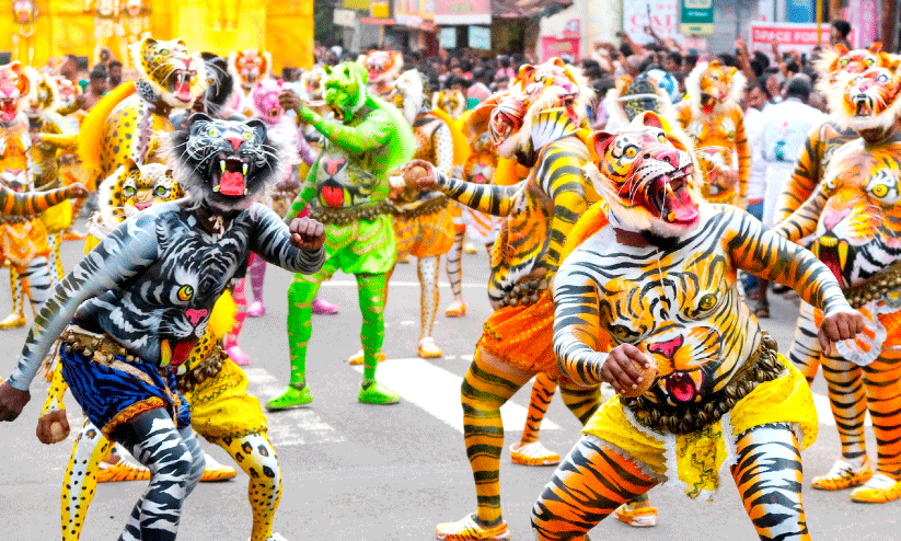 പു​ലിപ്പൂ​രം