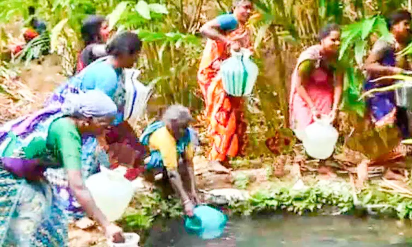 കുടിവെള്ളമില്ലാതെ കോഴിപ്പനക്കുടിയിലെ ആദിവാസികൾ കുടിവെള്ളമില്ലാതെ കോഴിപ്പനക്കുടിയിലെ ആദിവാസികൾ