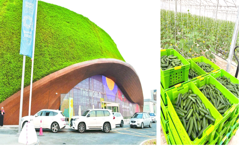 എക്സ്പോയിൽ കാണാം ഖത്തറിന്റെ കാർഷിക കുതിപ്പും എക്സ്പോയിൽ കാണാം ഖത്തറിന്റെ കാർഷിക കുതിപ്പും